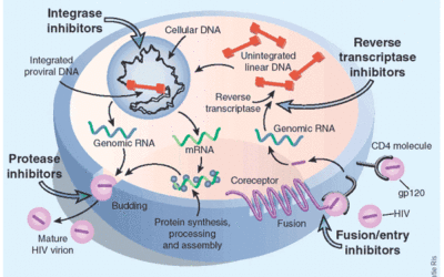 Antiretroviral Treatment in Correctional Facilities